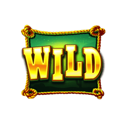 Wild-Bounty-Gold-min
