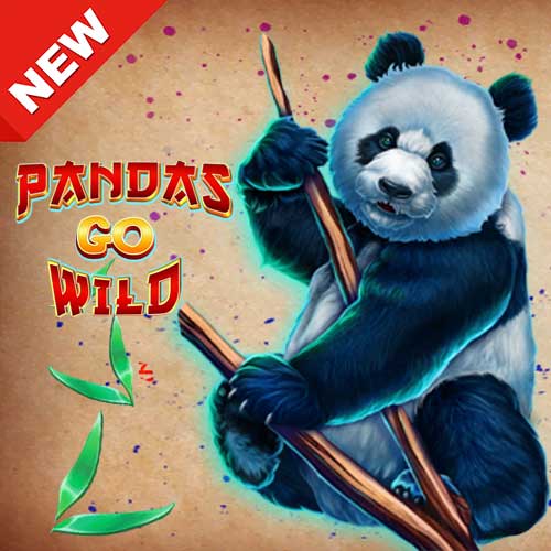 Banner-PandasGoWild