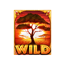 Wild  The Ultimate 5 เกมสล็อต ทดลองเล่นฟรี ค่าย Pragmatic Play