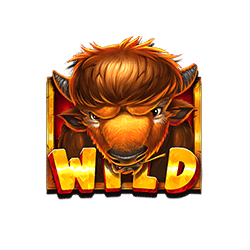 22-Wild-Release-the-Bison-min